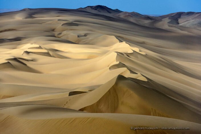 Sand dunes near Iquique, Atacama Desert